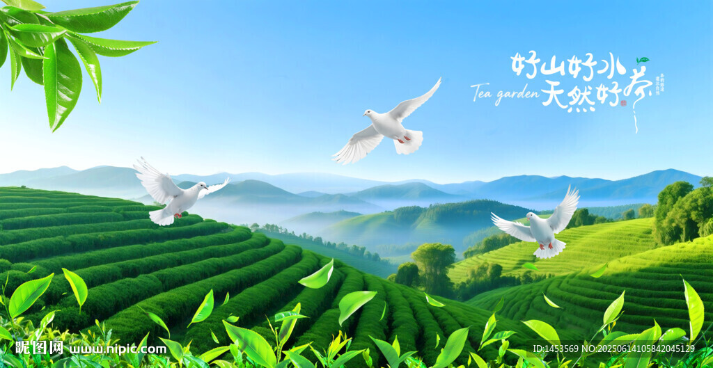 茶山