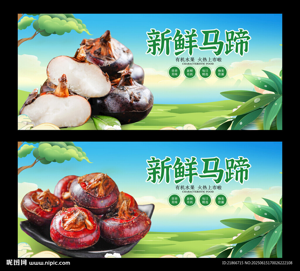 马蹄
