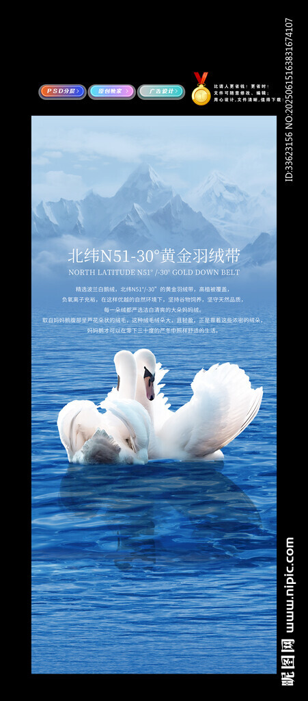 天鹅羽绒