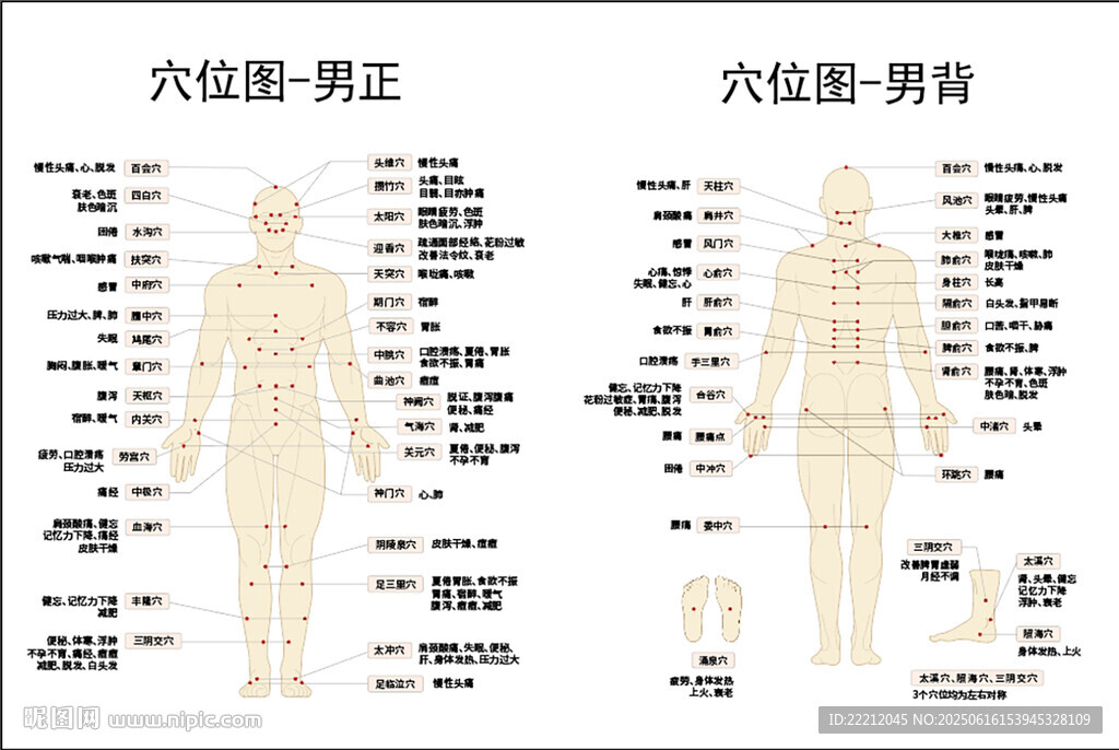 男穴位图