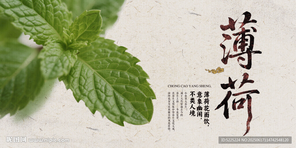 薄荷