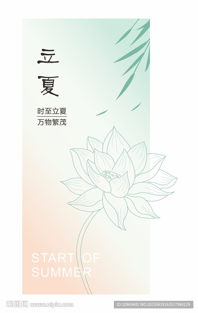 荷花