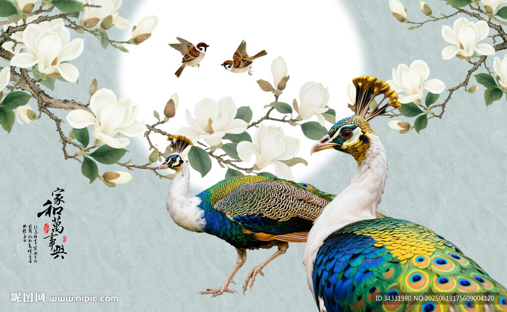 轻奢玉兰花孔雀装饰画