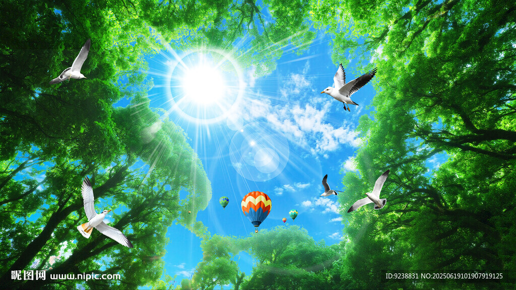 森林仰望天空