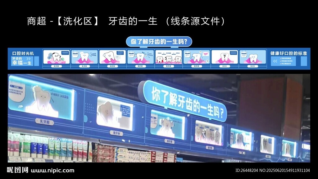 牙齿的一生