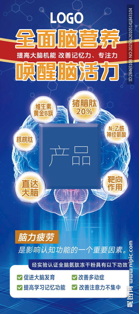脑肽 氨肽 猪脑肽 智力展架