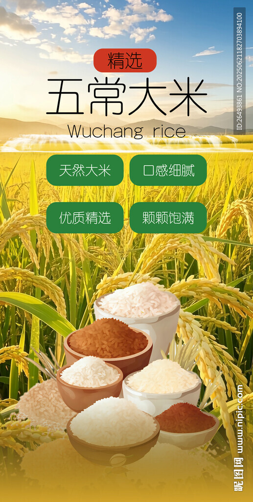 大米海报