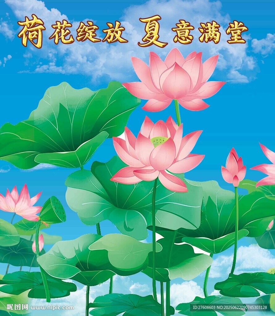 夏日绽放的美丽荷花