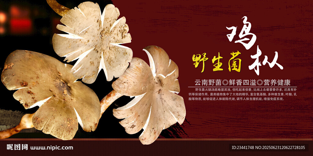 野生菌鸡枞