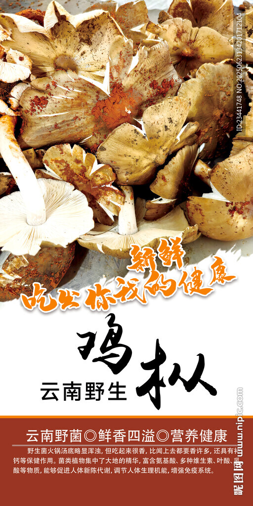 野生菌广告  