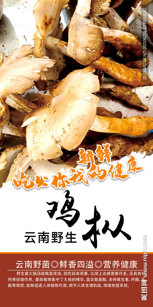 野生菌海报