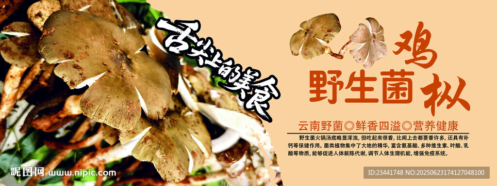 野生菌广告 