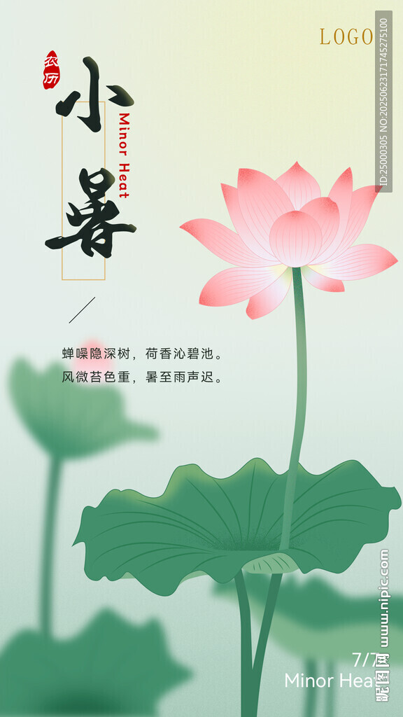 节气 小暑