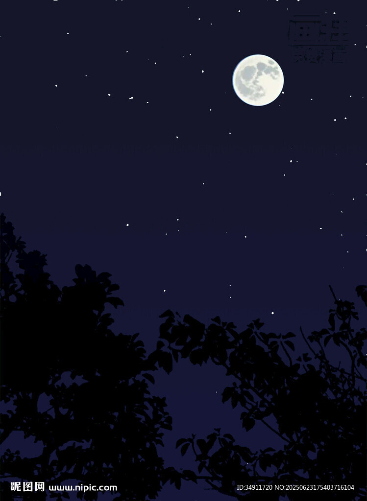 月夜星空下的树木剪影