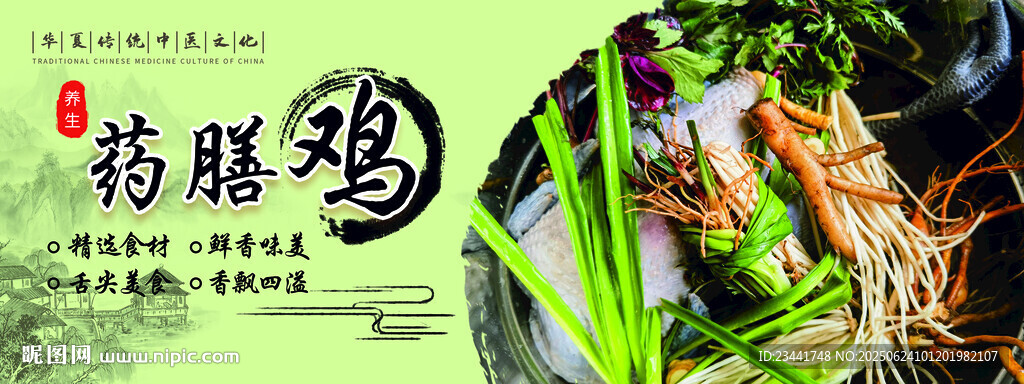   药膳鸡海报  