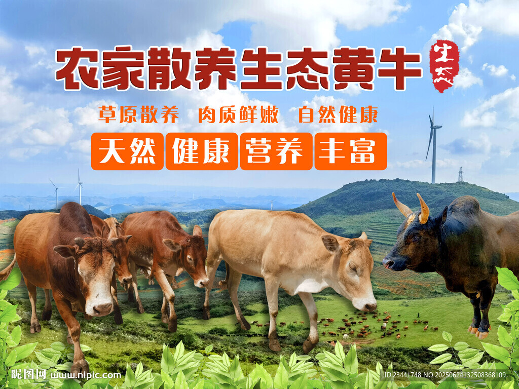 黄牛