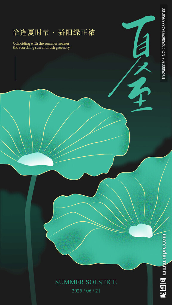 夏至 节气 海报