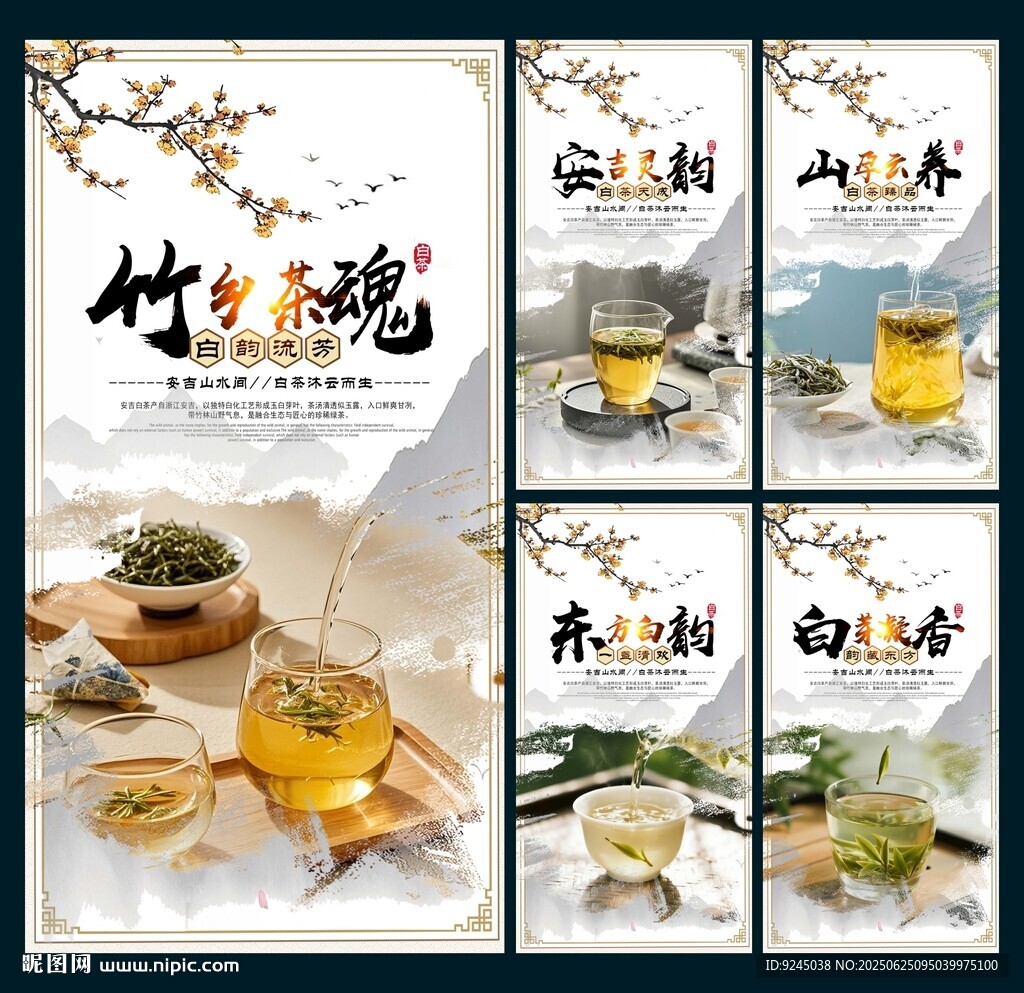 安吉白茶