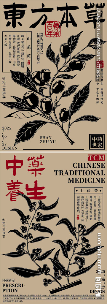 手绘东方本草植物中草药插画