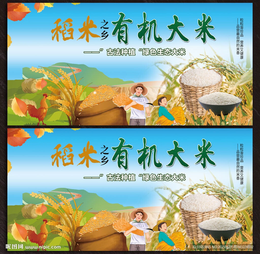 水稻展板