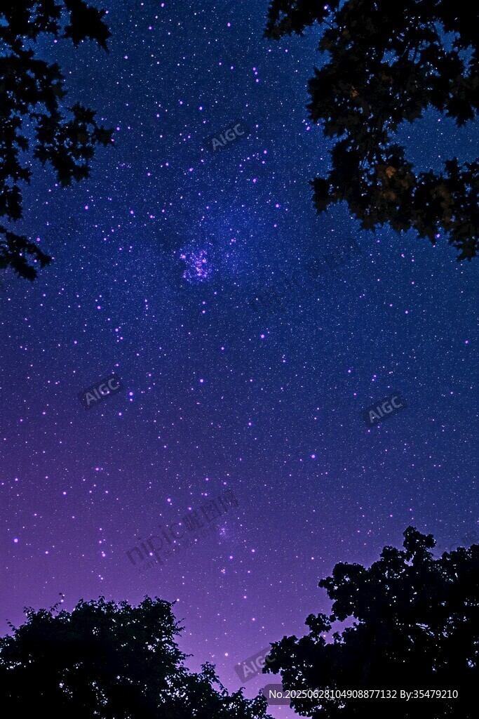 夜空繁星下的静谧树林