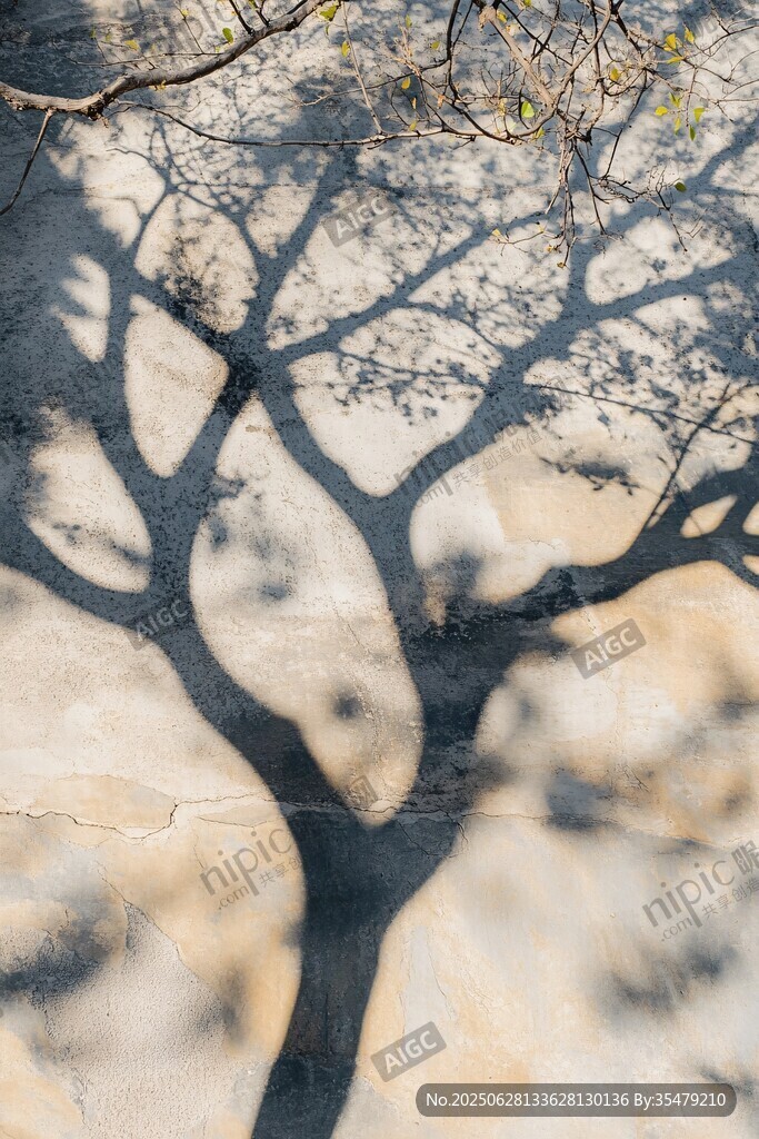 树影斑驳于墙面之景