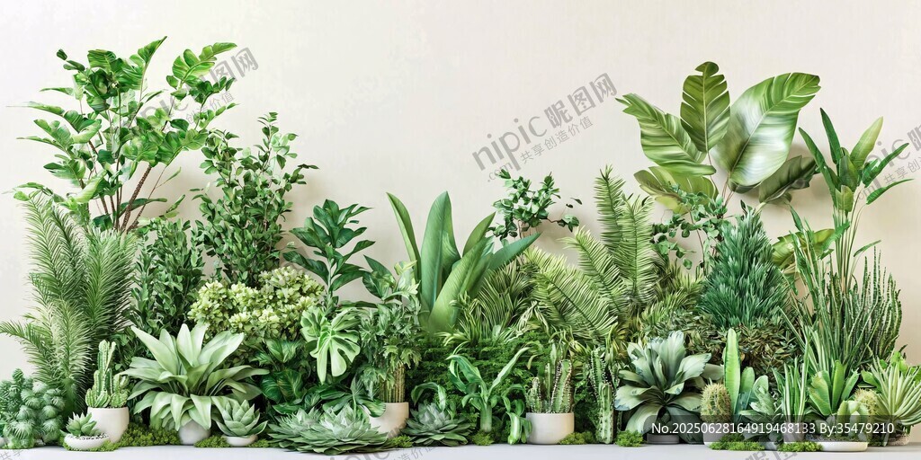 室内绿植景观 多样盆栽