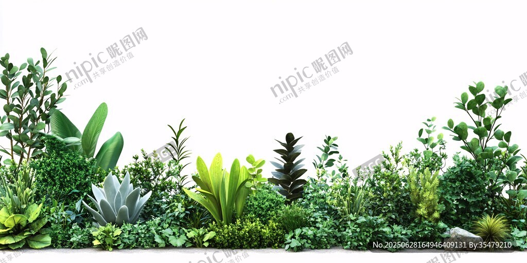 清新绿植边界