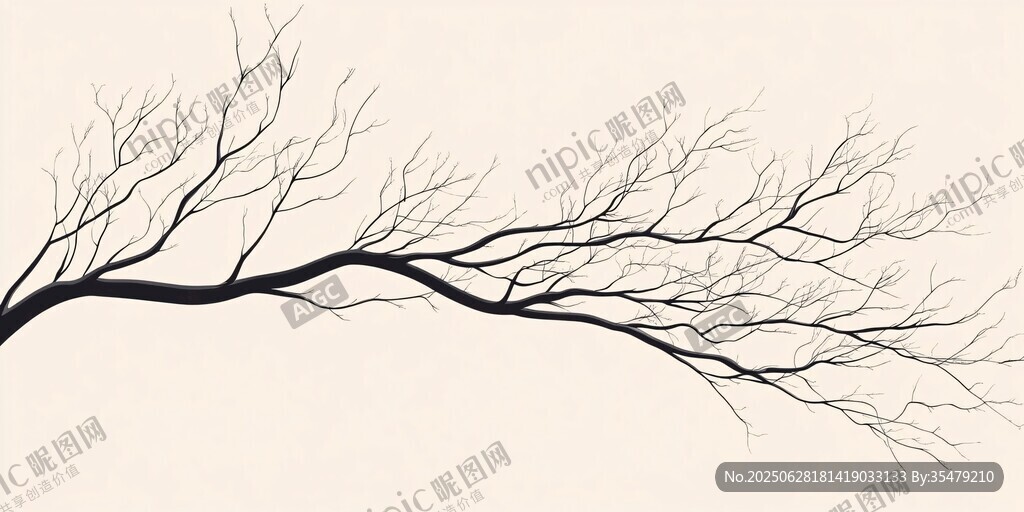 枯树枝条简约艺术画面