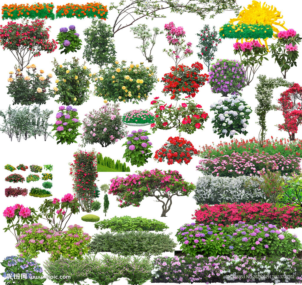 花草绿植