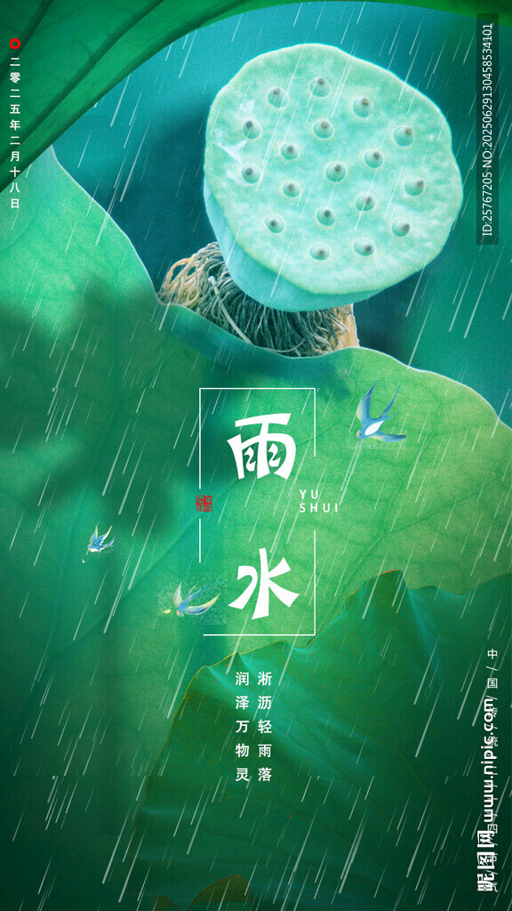 雨水时节绿意中的雨滴