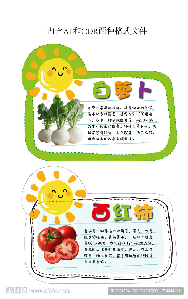 蔬菜种植知识小卡片