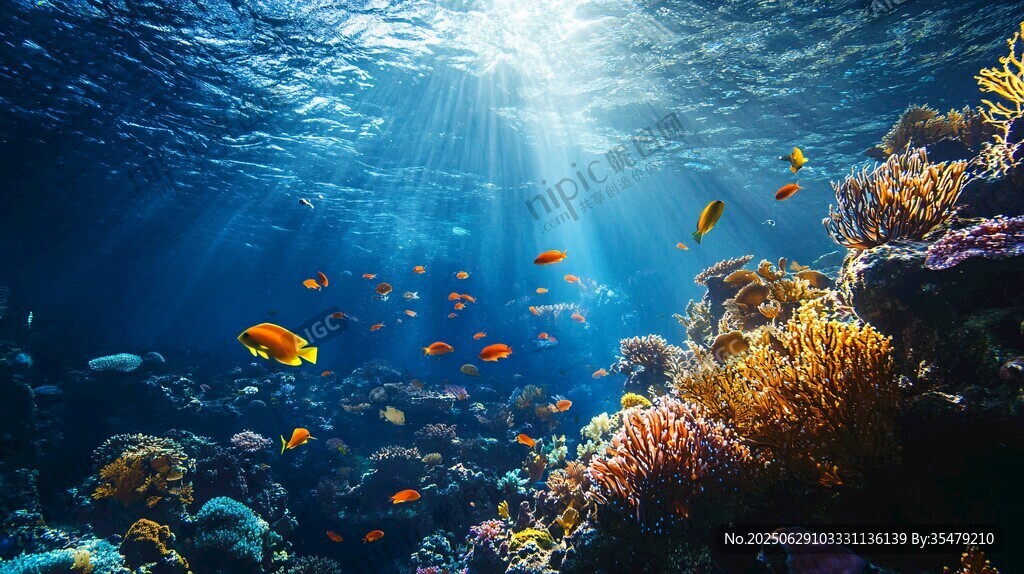梦幻海底世界 缤纷海洋景观