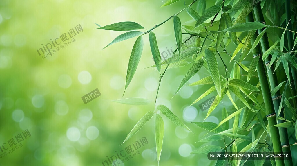 翠绿竹叶 清新自然景致