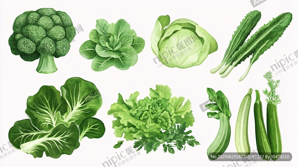 多样绿色蔬菜集合