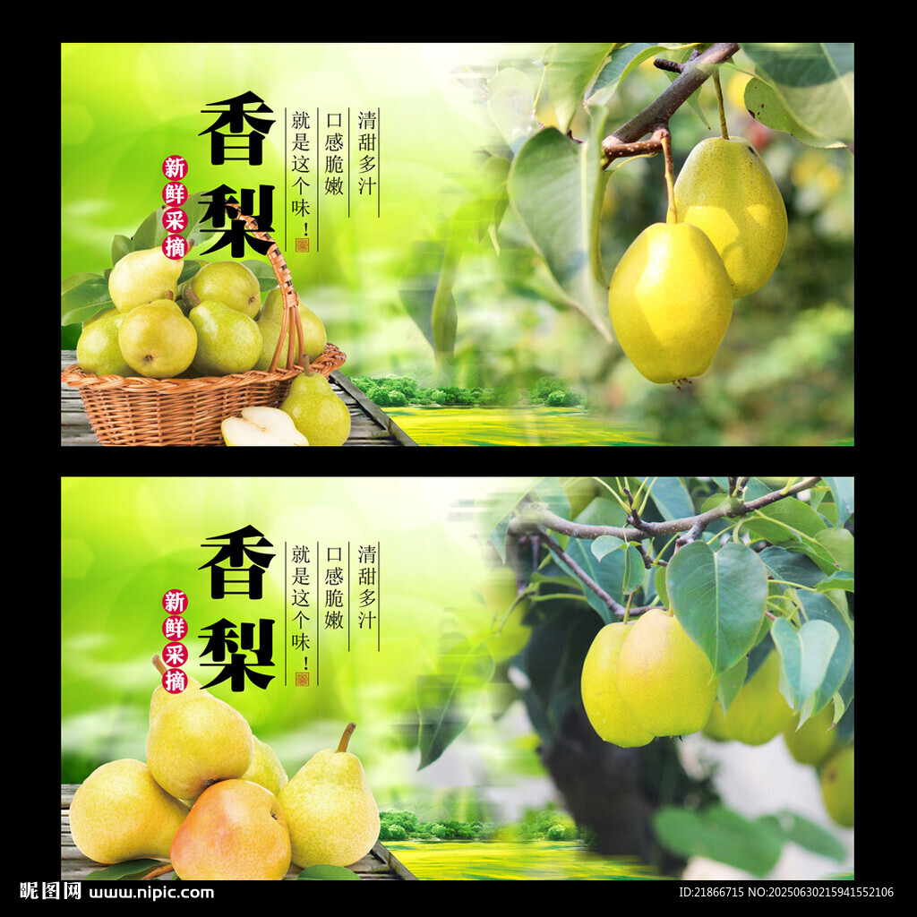 香梨