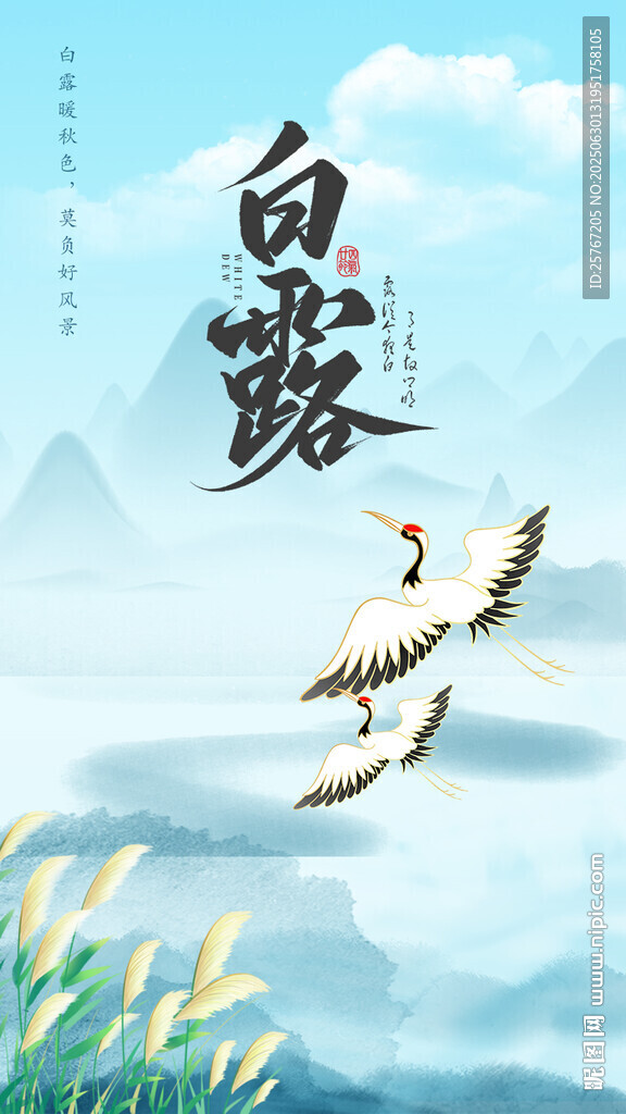 白鹭于山水间优雅飞舞
