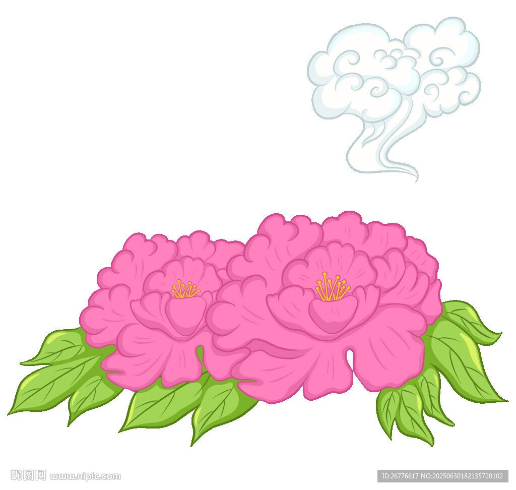 两朵盛开的粉色牡丹花 祥云