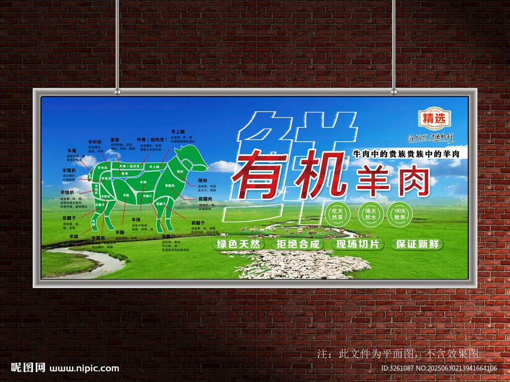 羊肉分解图
