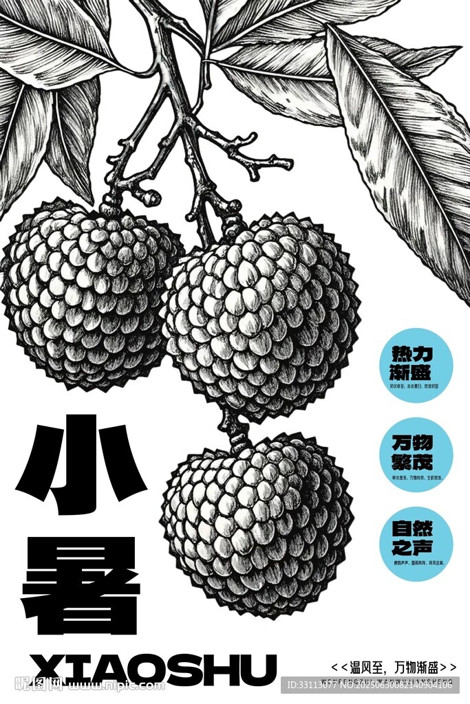 小暑时节的荔枝果实