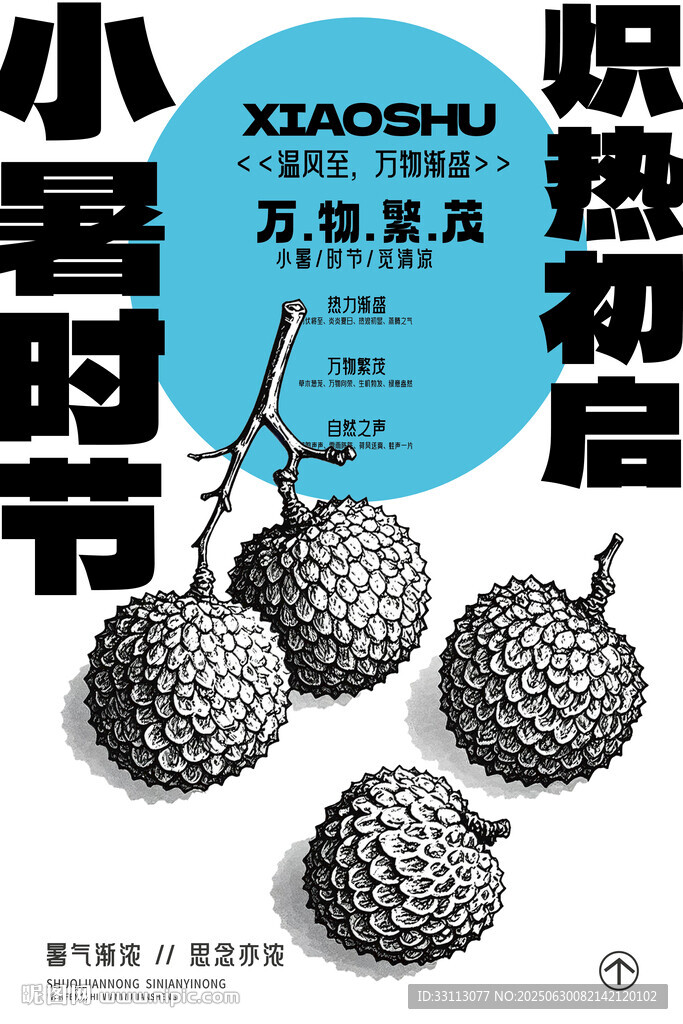 夏日小暑荔枝时节插画