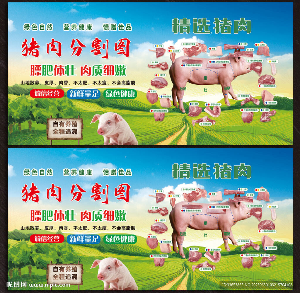 猪肉分解图
