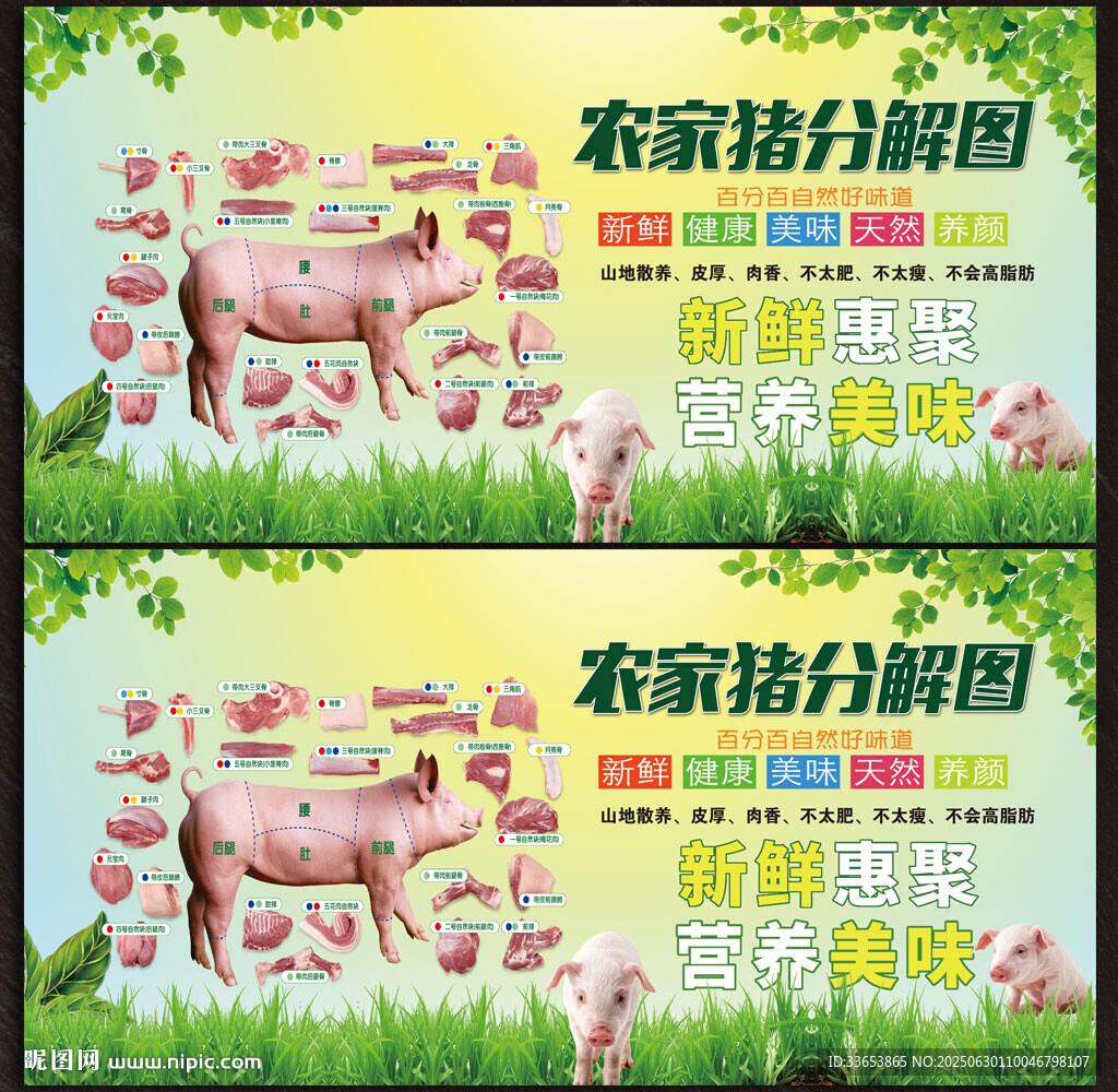 猪肉分解图
