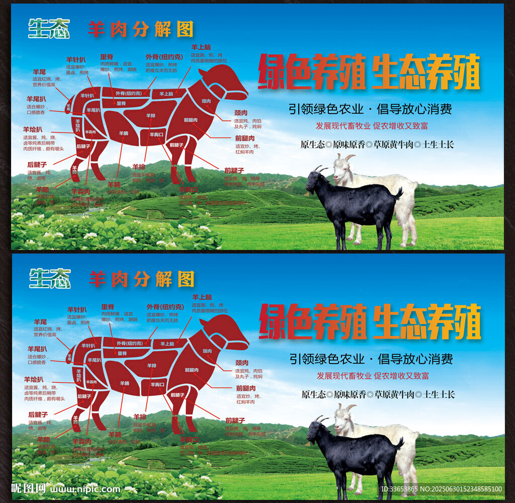 羊肉分解图