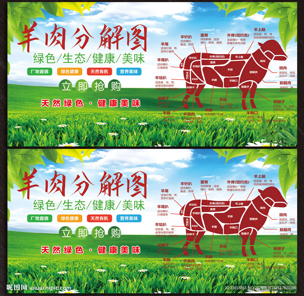 羊肉分解图