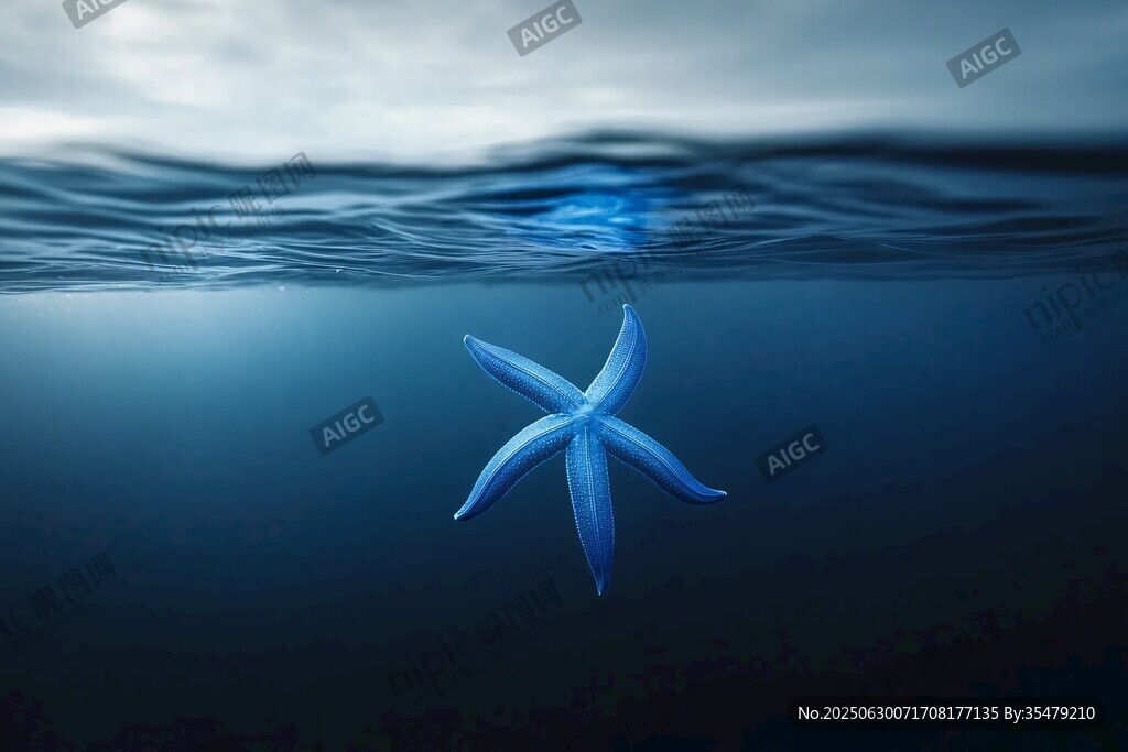 深海中的蓝色海星