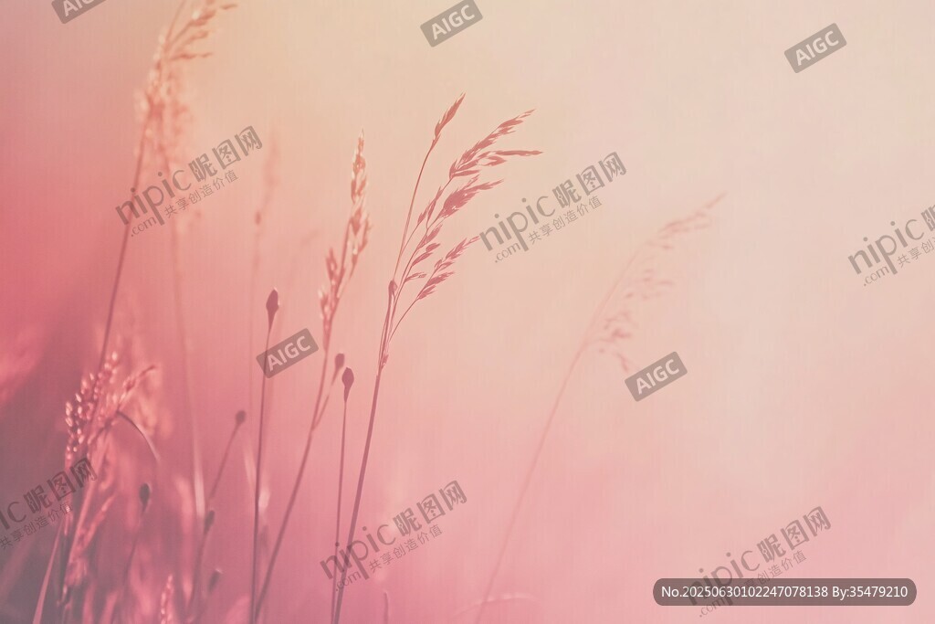 梦幻粉色系的轻柔草景