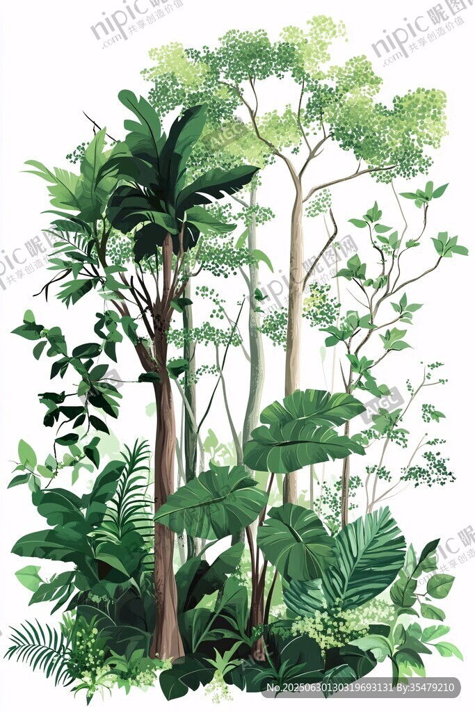 热带雨林植物景观插画