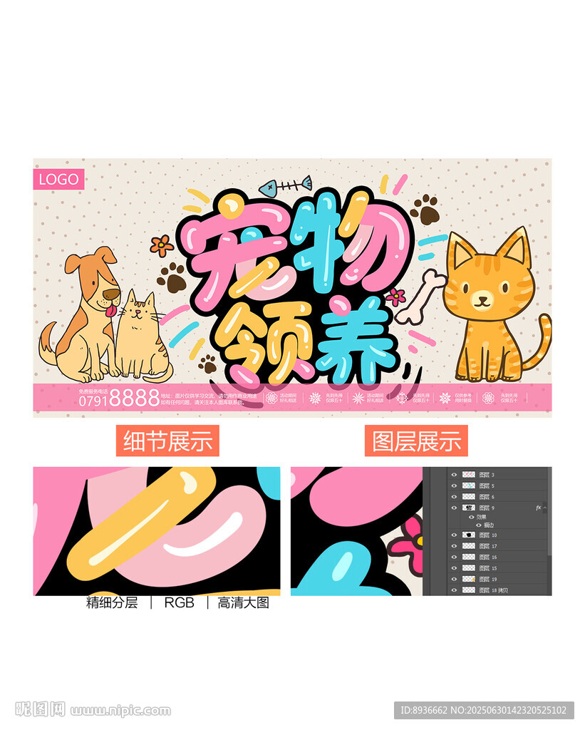 宠物领养