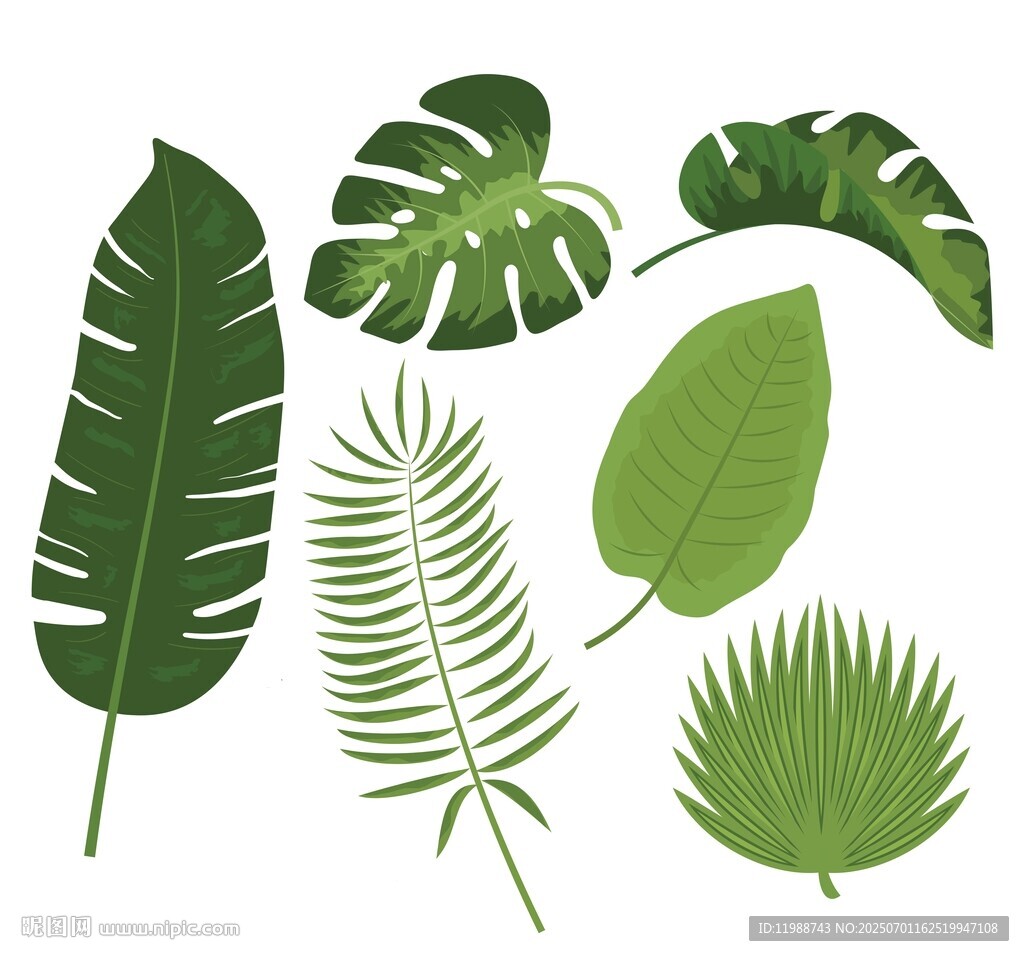 北欧植物